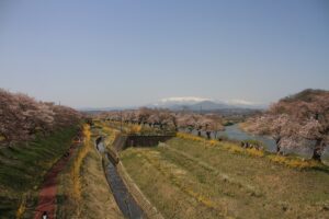 家族でお花見を楽しむ「一目千本桜」の思い出作り